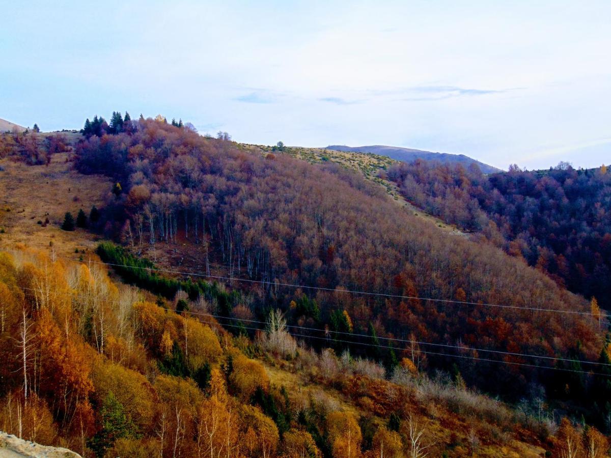 Sunny Days Apartman Kopaonik Dış mekan fotoğraf
